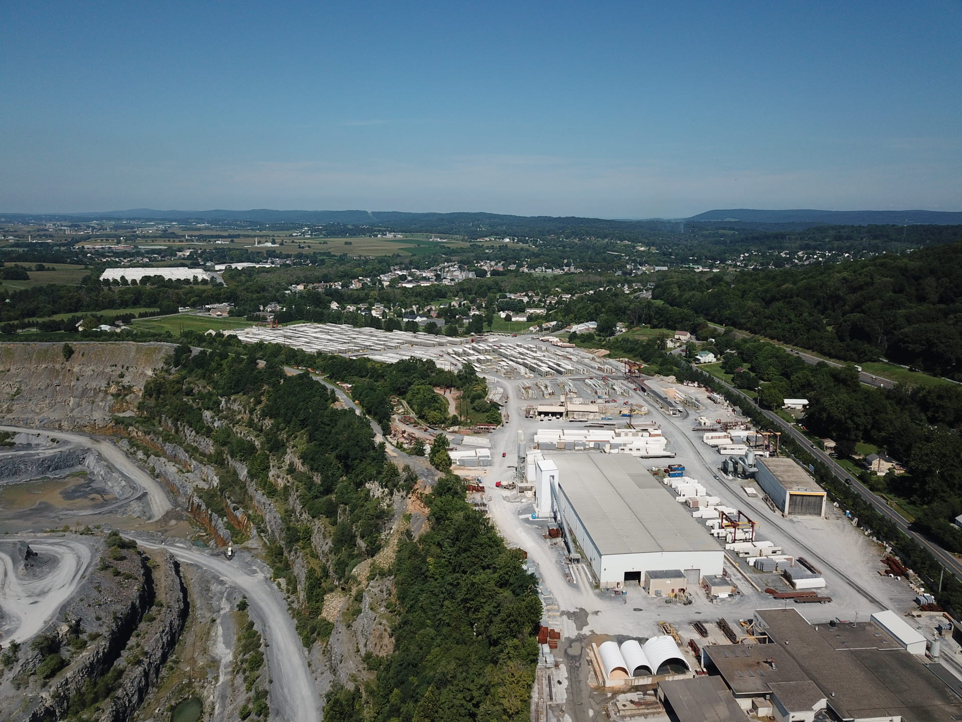 HCG Plant